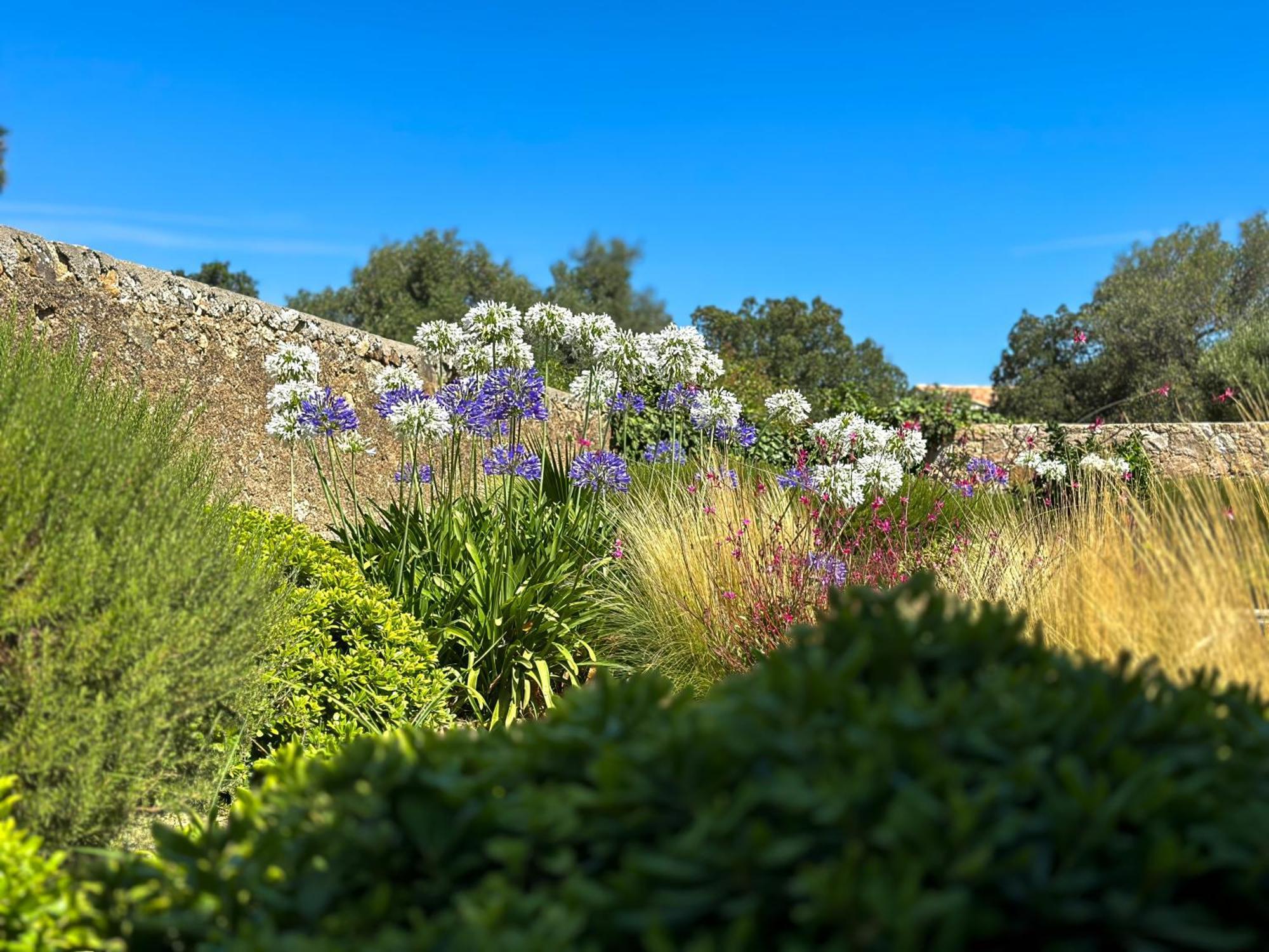 Domaine Villas Celia Monticello Esterno foto